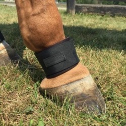 EquiFit Pastern Wrap Regular