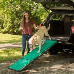 Pet Gear Tri Fold Pet Ramp with Supertrax