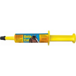 Finish Line Quia-Cal