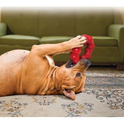 KONG Ring Dog Toy XLarge