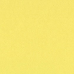 Sour Lemon Card Shoppe 12 x 12 Bazzill Cardstock