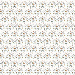 Whiskers Paper - Whiskers - Photoplay