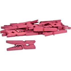 Raspberry Mini Clothespins - Canvas Corp