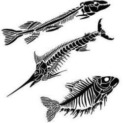 Fish Fossils 6x6 Template - Crafter's Workshop