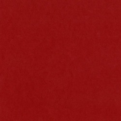 Peppermint Card Shoppe 12 x 12 Bazzill Cardstock