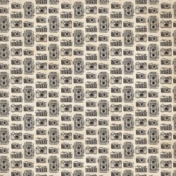 Cameras Paper - Here & There - Photoplay