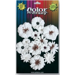 Medium & Mini Darjeeling Flowers Color Me Crazy - Petaloo