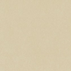 Taffy Card Shoppe 12 x 12 Bazzill Cardstock