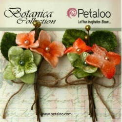 Apricot Velvet Hydrangea Stems - Petaloo