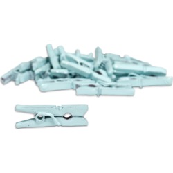 Light Blue Mini Clothespins - Canvas Corp