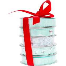 Winter - American Crafts Ribbon 3yd Each 5/Pkg