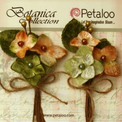 Sage Velvet Hydrangea Stems - Petaloo