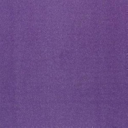 Grape Solid Color Glitter Paper By American Crafts