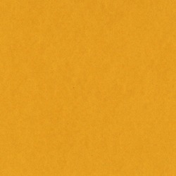 Gold Coins Card Shoppe 12 x 12 Bazzill Cardstock