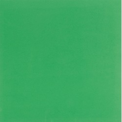 Green Self Adhesive Foam Sheet - Bazzill