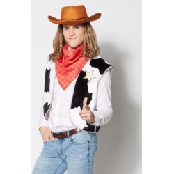 Woody Costume Kit - Toy Story 3 - Size STANDARD ADULT - by Spencer's