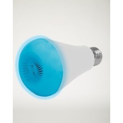 Light Up Bulb Bluetooth Speaker by Spencer's