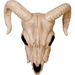 buy  Ram Skull Decoration by Spirit Halloween cheap online