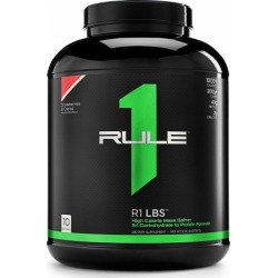R1 LBS Chocolate Fudge 12 lbs by Rule 1