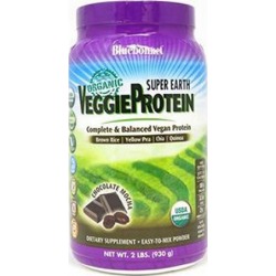 Super Earth Organic Veggie Protein Powder Original Unsweetened 1.12 Oz by Bluebonnet Nutrition