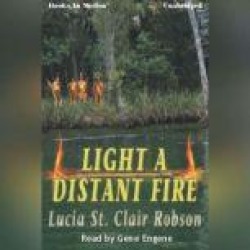 Light A Distant Fire