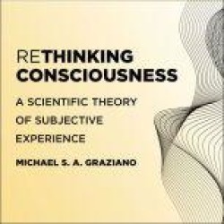 Rethinking Consciousness: A Scientific Theory of Subjective Experience