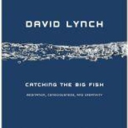 Catching the Big Fish: Meditation, Consciousness, and Creativity