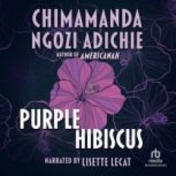 Purple Hibiscus