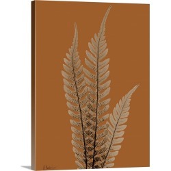 Large Solid-Faced Canvas Print Wall Art Print 30 x 40 entitled Sepia Tree Fern X-Ray Photograph