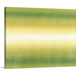 Large Solid-Faced Canvas Print Wall Art Print 30 x 24 entitled Primal Toner I