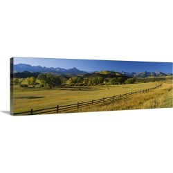 Large Gallery-Wrapped Canvas Wall Art Print 36 x 12 entitled Trees in a field, Colorado