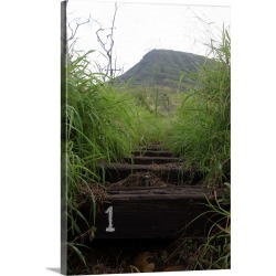 Large Solid-Faced Canvas Print Wall Art Print 20 x 30 entitled The first step invites hikers up Koko Crater
