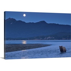 Large Gallery-Wrapped Canvas Wall Art Print 30 x 20 entitled Brown Bear And Full Moon, Katmai National Park, Alaska