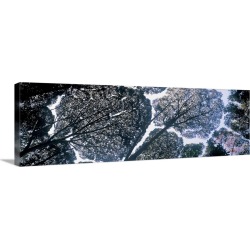 Large Gallery-Wrapped Canvas Wall Art Print 12 x 36 entitled Tree Canopy Kuala Lumpur Malaysia
