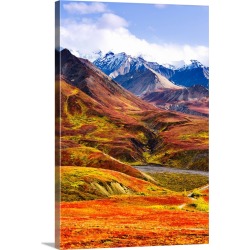 Large Gallery-Wrapped Canvas Wall Art Print 20 x 30 entitled Fall Colours And Alaska Range, Denali National Park, Alaska, USA