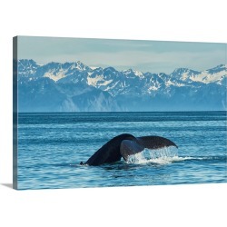 Large Gallery-Wrapped Canvas Wall Art Print 30 x 20 entitled Humpback whale in Seward harbor, Seward, Alaska, United State...