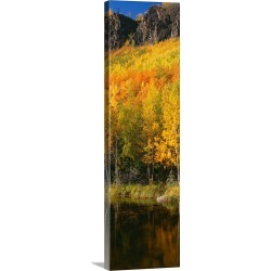Large Gallery-Wrapped Canvas Wall Art Print 15 x 48 entitled Yellow trees in the forest, Denali National Park, Alaska