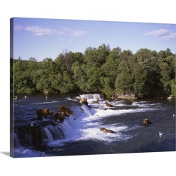 Large Gallery-Wrapped Canvas Wall Art Print 30 x 23 entitled Alaska, Katmai National Park, Brooks Falls, Alaska brown bear...