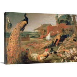 Large Gallery-Wrapped Canvas Wall Art Print 24 x 16 entitled A Crow in Peacock's Feathers