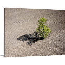 Large Solid-Faced Canvas Print Wall Art Print 40 x 30 entitled Lonely Tree, Richmond, Canada - Aerial Photograph