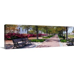 Large Solid-Faced Canvas Print Wall Art Print 48 x 16 entitled Waterfront Park Charleston SC