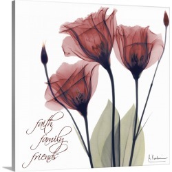 Large Solid-Faced Canvas Print Wall Art Print 20 x 20 entitled Gentian Faith, Family, Friends x-ray photography