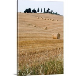 Large Solid-Faced Canvas Print Wall Art Print 20 x 30 entitled Bales Of Hay On Tuscan Farm