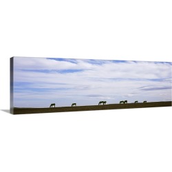 Large Gallery-Wrapped Canvas Wall Art Print 36 x 12 entitled Silhouette of horses in a field, Montana