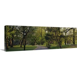 Large Gallery-Wrapped Canvas Wall Art Print 36 x 12 entitled Trees in a park, Central Park, New York City, New York State