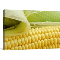 Large Gallery-Wrapped Canvas Wall Art Print 30 x 20 entitled Close up of corn