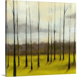 Large Solid-Faced Canvas Print Wall Art Print 20 x 20 entitled Sunlit Treeline II