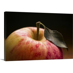 Large Gallery-Wrapped Canvas Wall Art Print 30 x 20 entitled Close up of apple, studio shot