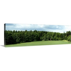 Large Gallery-Wrapped Canvas Wall Art Print 36 x 12 entitled Hunting stand in a field, Horb Am Neckar, Baden-Wurttemberg, ...