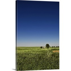 Large Solid-Faced Canvas Print Wall Art Print 20 x 30 entitled Abandoned house sits in a field in the desolate grassy plai...